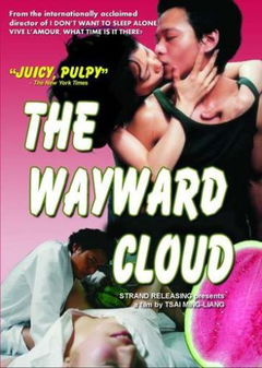 The Wayward Cloud (2005)