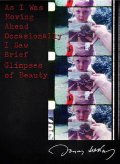As I Was Moving Ahead Occasionally I Saw Brief Glimpses of Beauty (2000)