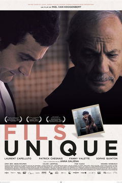 Fils unique (2011)