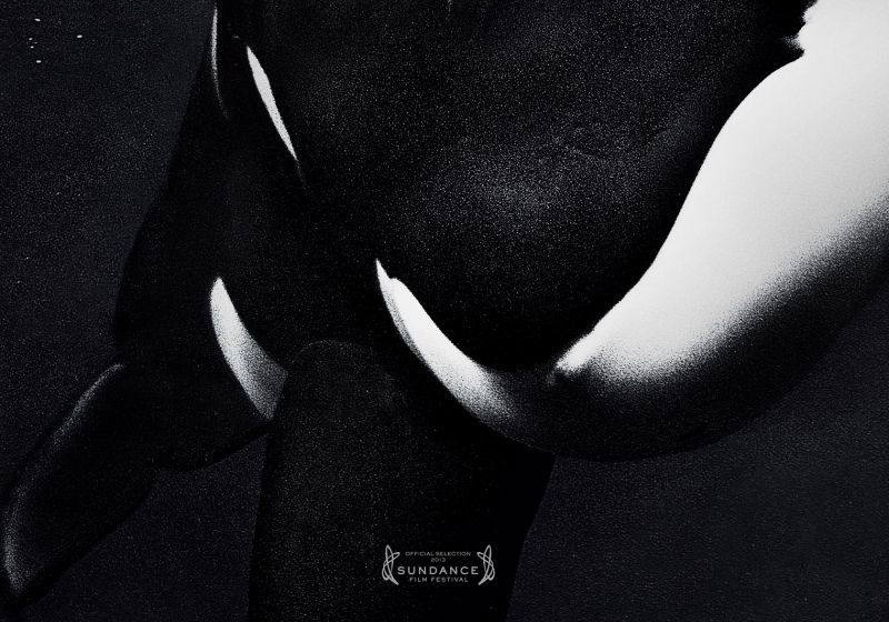 Beste Thrillers 2013 (films in het genre thriller)