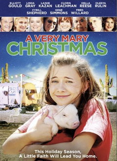 Expecting Mary (2010)