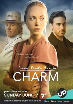 Love Finds You in Charm (2015)