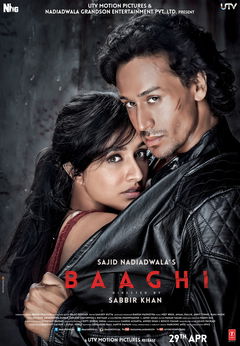 Baaghi: A Rebel For Love (2016)