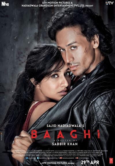 Baaghi: A Rebel For Love