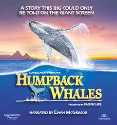 Humpback Whales (2015)