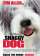 The Shaggy Dog
