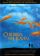 The Children of Heaven