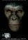 Rise of the Planet of the Apes
