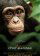 Chimpanzee
