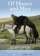 Of Horses and Men