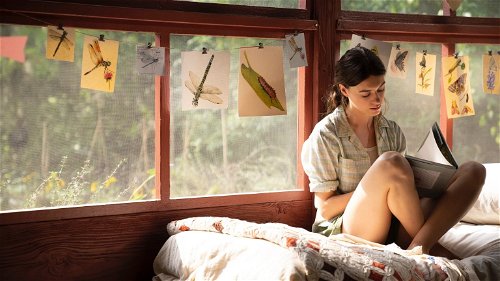 Universal onthult nieuwe trailer van 'Where the Crawdads Sing' met Daisy Edgar-Jones