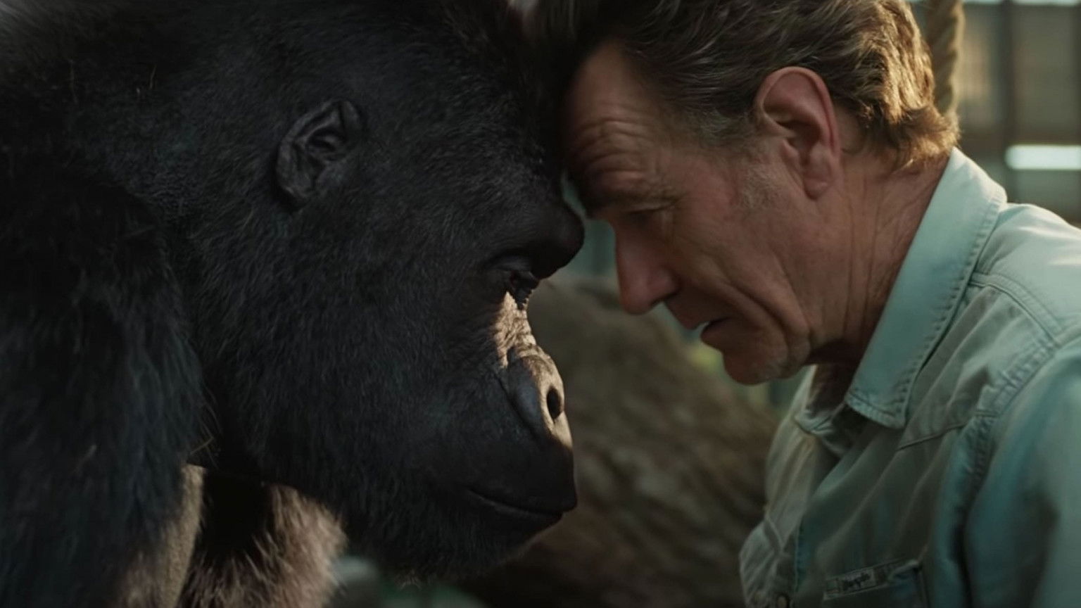 Sam Rockwell is een artistieke gorilla in de eerste trailer van 'The One and Only Ivan'