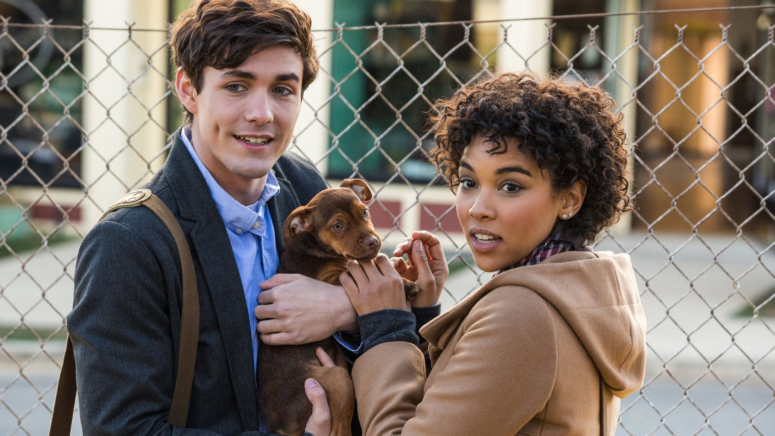 Netflix laatste kans: deze 55+ films & series verdwijnen de komende dagen