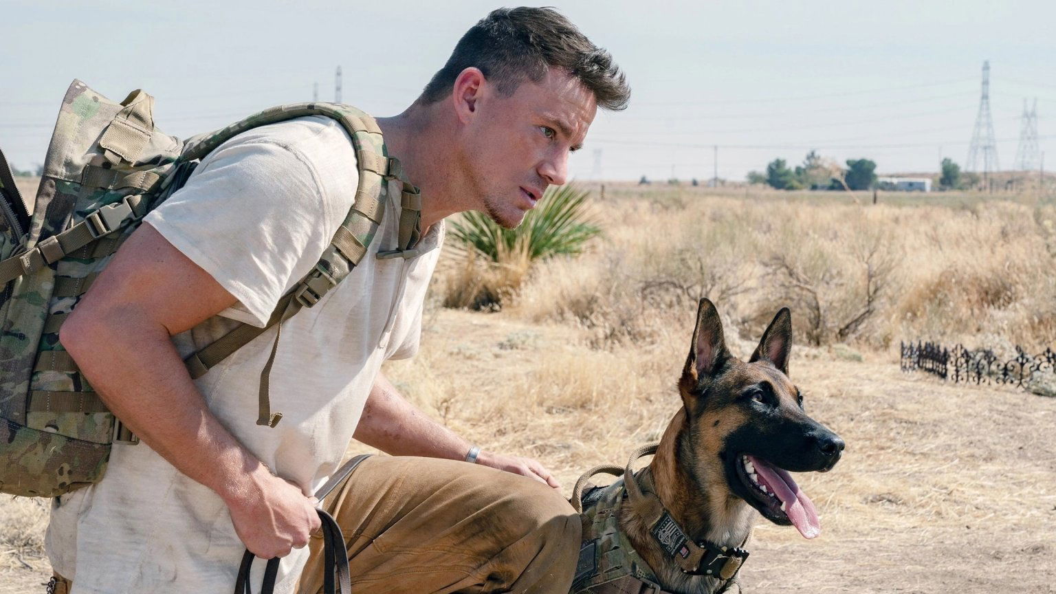 De top 10 populairste films nu op Pathé Thuis (week 30, 2022)