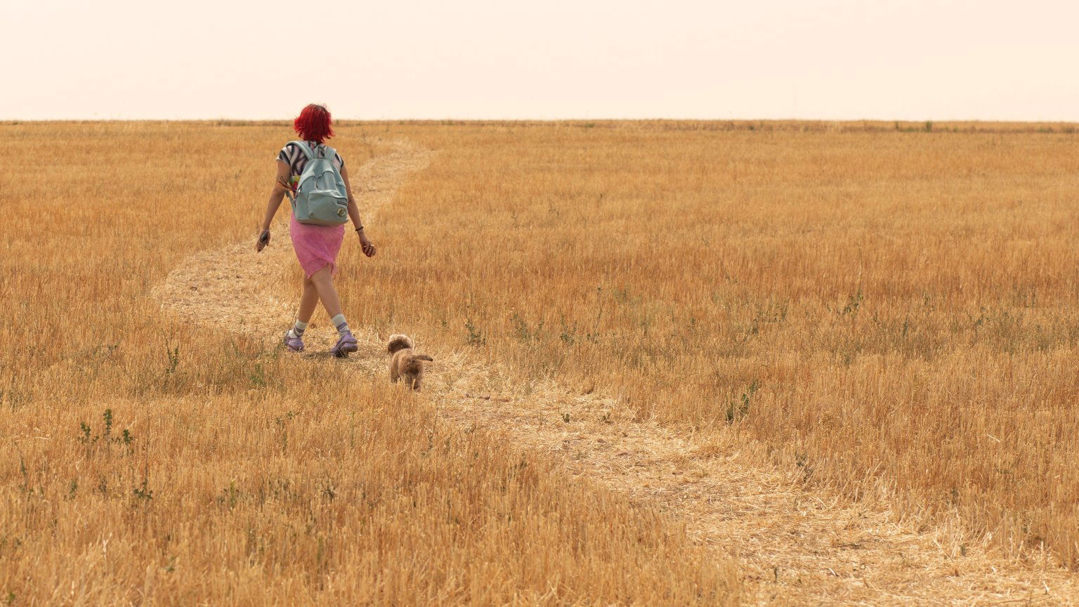 Netflix onthult eerste beelden Spaanse dramafilm 'Rainbow' geïnspireerd op 'The Wizard of Oz'