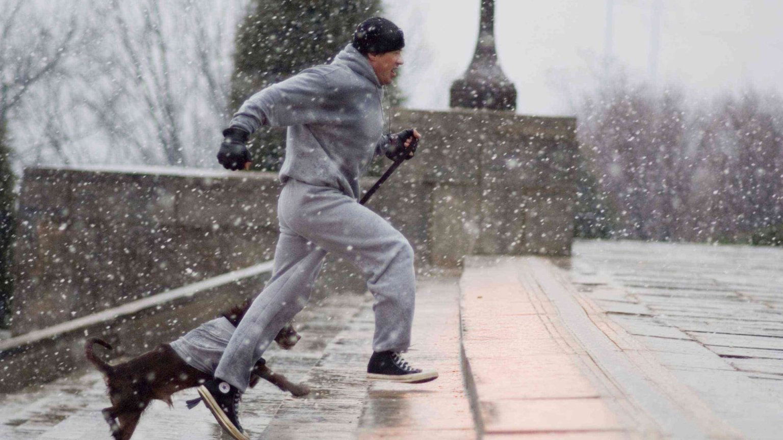 Sylvester Stallone haalt uit naar 'Rocky'-spin-off: 'Wil niet dat de personages uitgebuit worden'