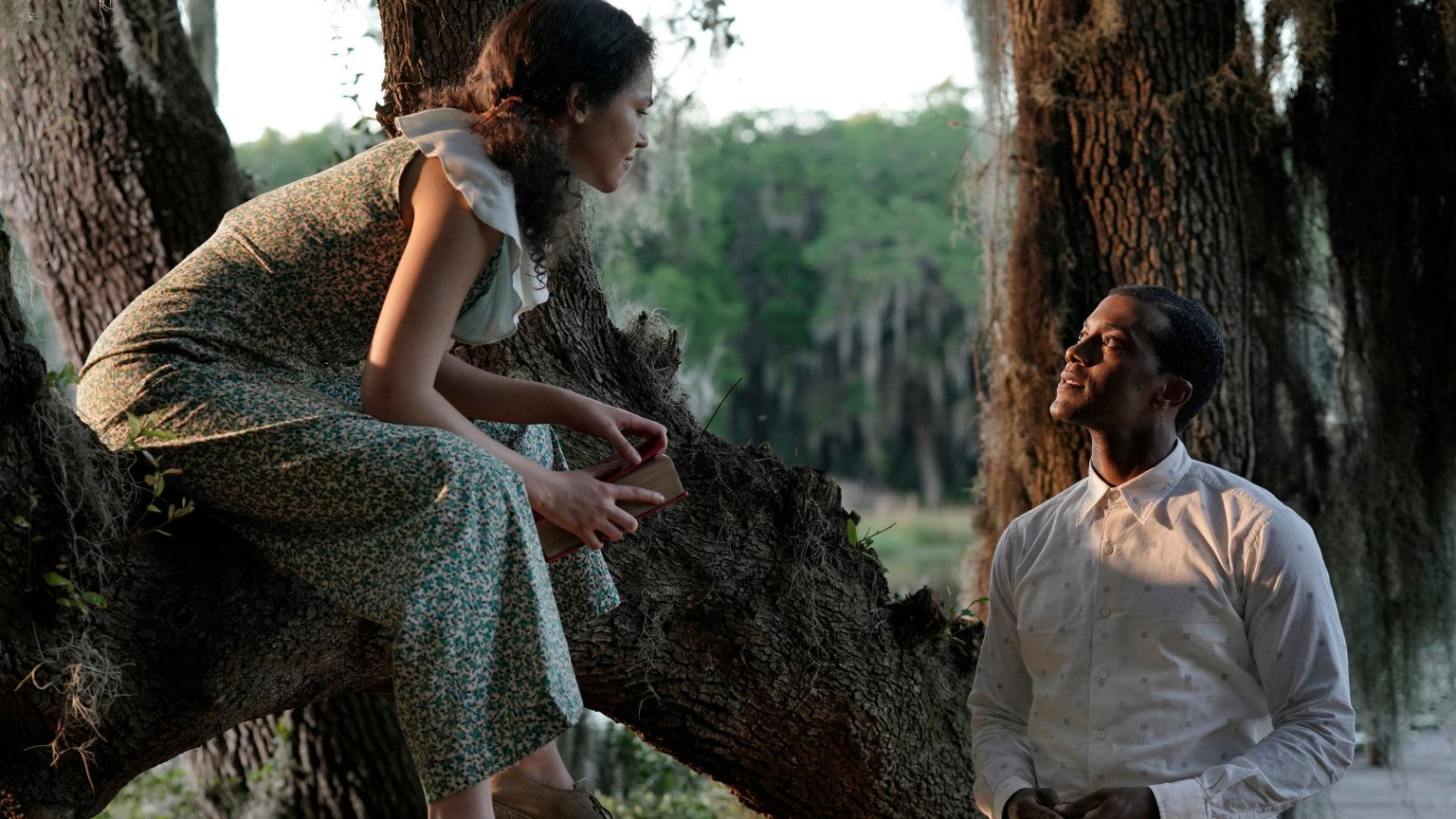 Nieuwe ontroerende Netflix-film op komst: eerste trailer te zien van 'A Jazzman's Blues'