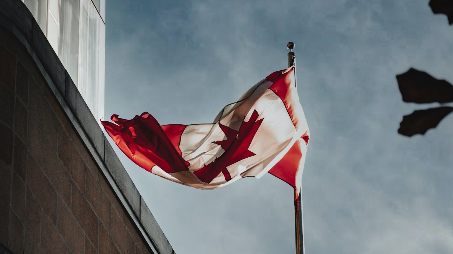 Canada zendt bijzondere film in als kanshebber voor Oscar beste internationale film