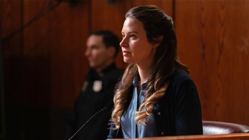 Rachel Williams daagt Netflix voor de rechter wegens misrepresentatie in 'Inventing Anna'