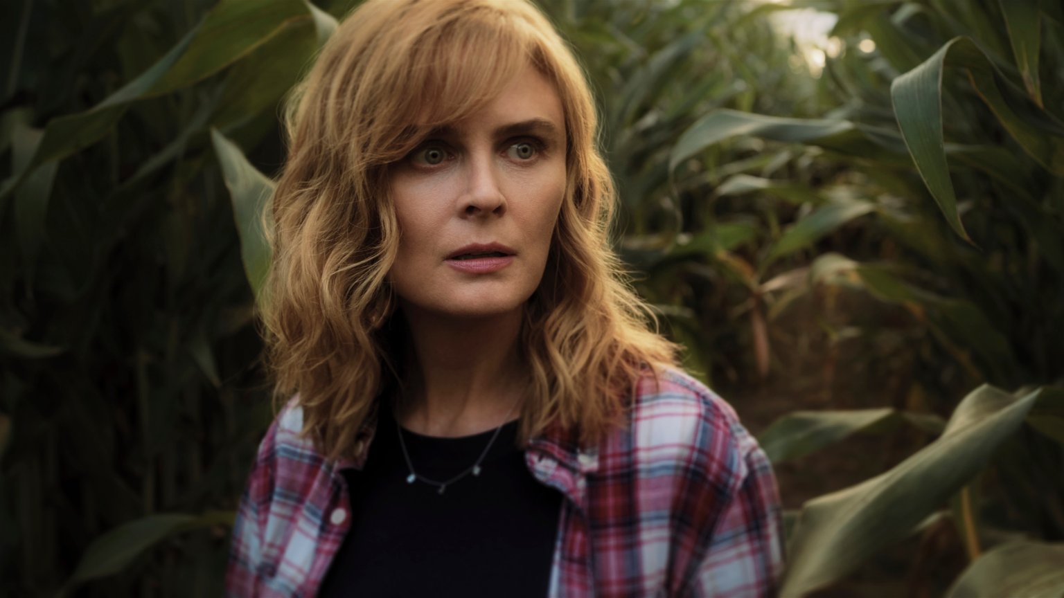 Komt er een seizoen 2 van 'Devil in Ohio' op Netflix?