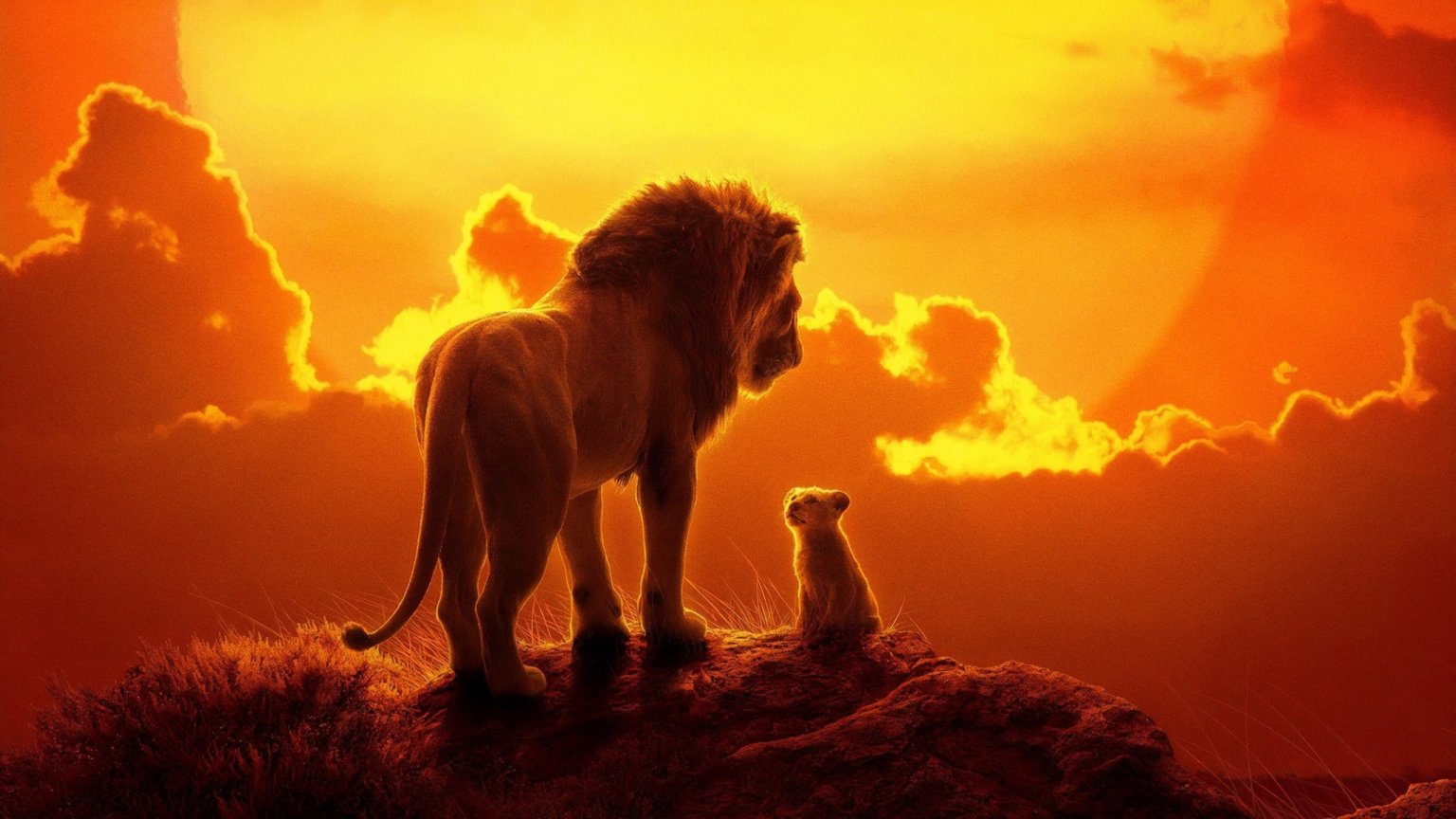 Disney kondigt nieuwe film aan 'Mufasa: The Lion King'