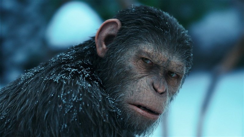 Nieuwe 'Planet of the Apes'-film aangekondigd, officiële titel bekend