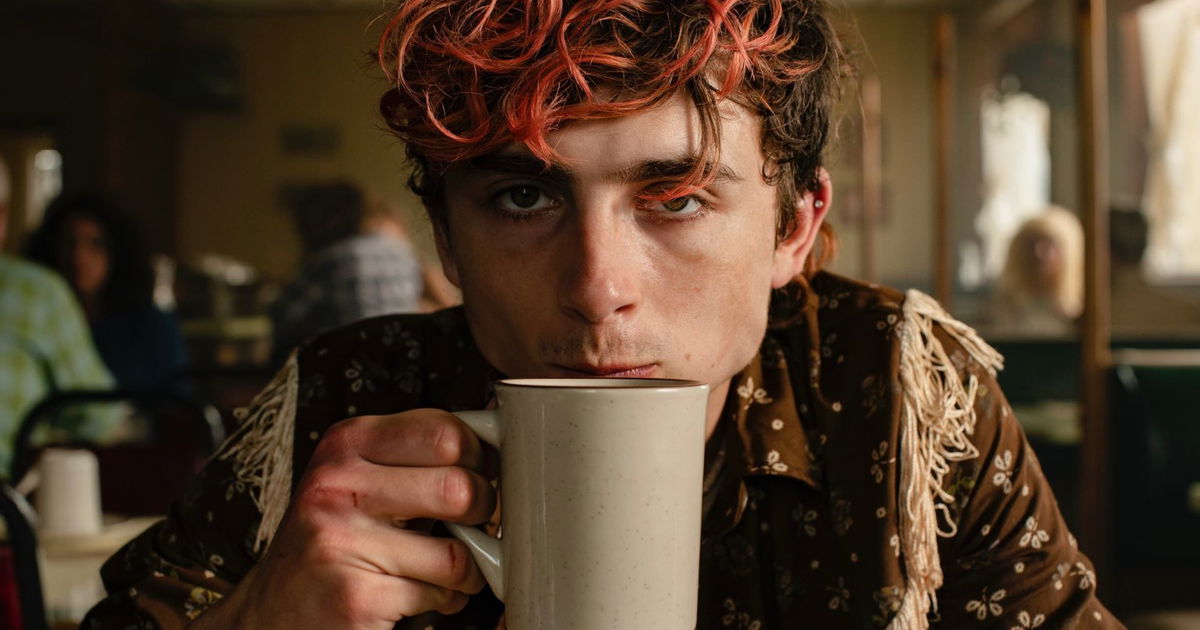 Timothée Chalamet is een kannibaal in de trailer van romantische