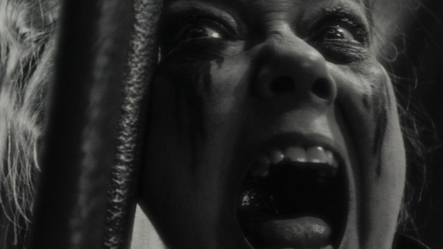 Veelbelovende horrorfilm over weerwolven en monsterjagers nu te zien