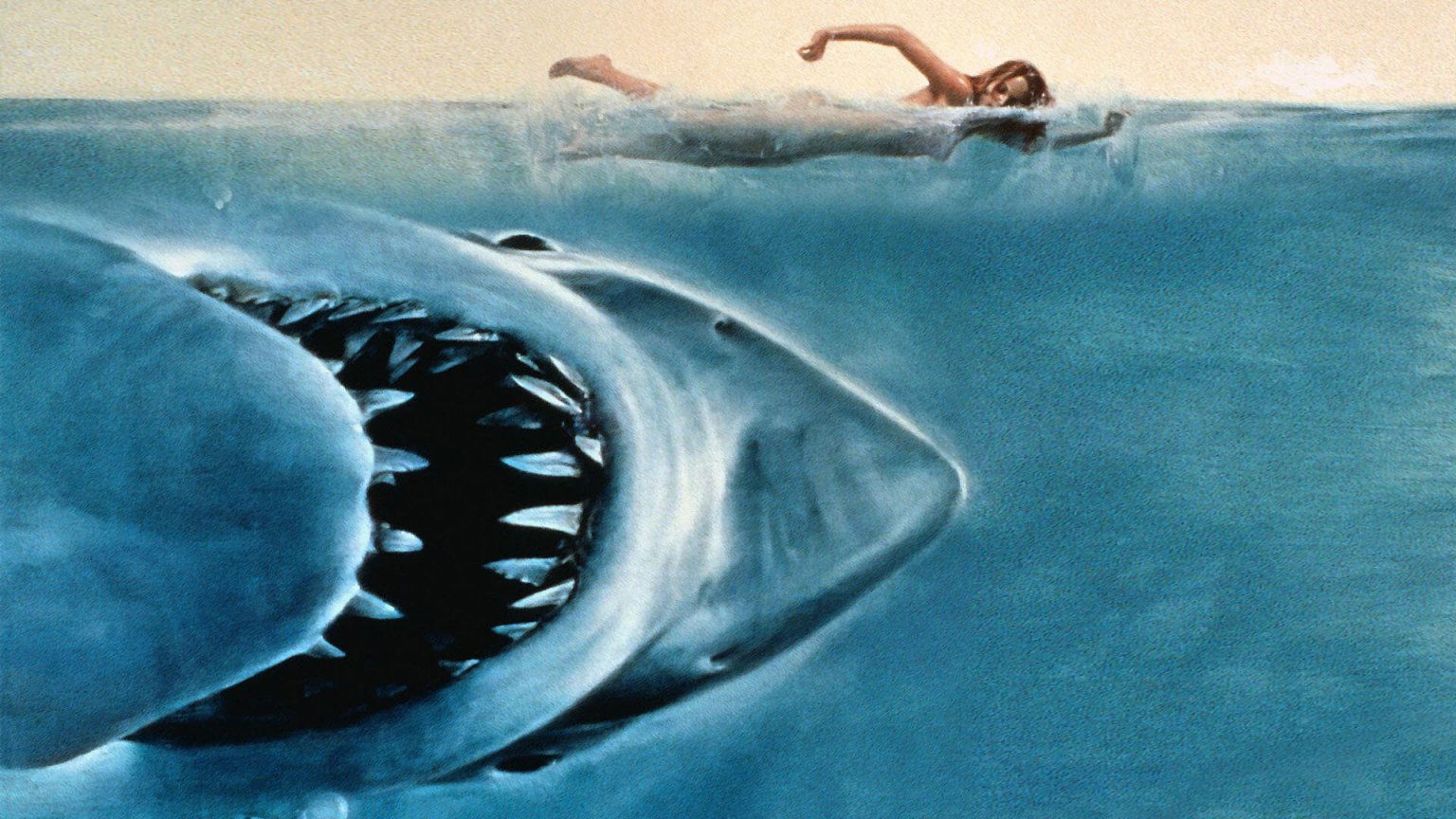 Deze 6 films bestempelt Quentin Tarantino als perfect: 'Je kunt er niets aan opmerken'