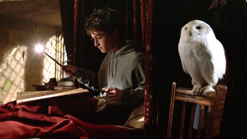 HBO Max-voorzitter reageert op geruchten over een 'Harry Potter'-serie
