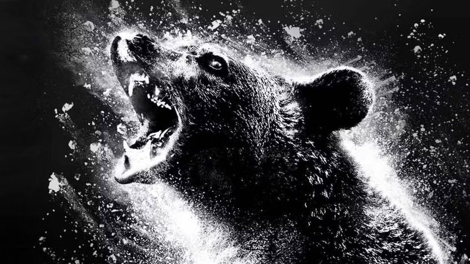 Moordlustige 'Cocaïnebeer' siert de poster van nieuwe thriller