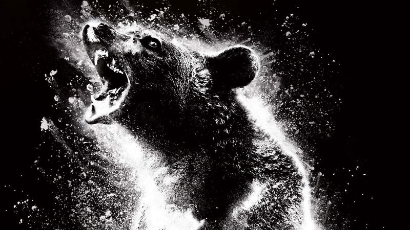 Still 'Cocaine Bear' via TMDb