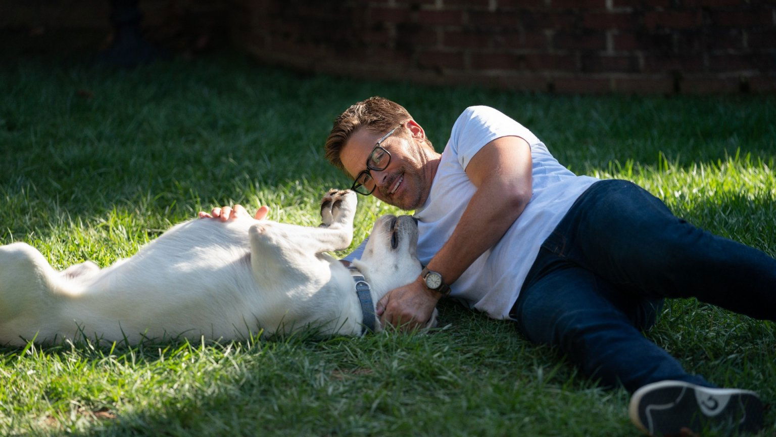 'Dog Gone' trailer: waargebeurde hondenfilm met Rob Lowe vanaf januari op Netflix