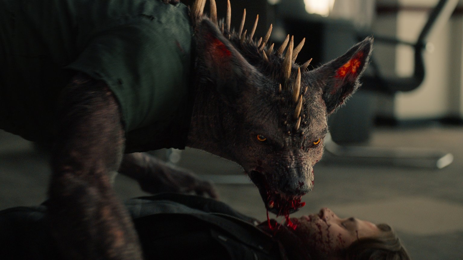 Kijkers boos op Netflix om cancelen fantasyserie: 'Zijn jullie allergisch voor goede series?'