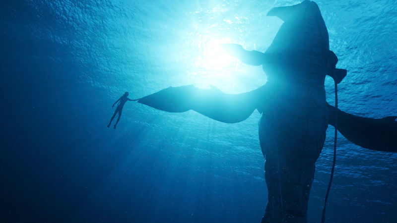 Still 'Avatar: The Way of Water' via Filmdepot