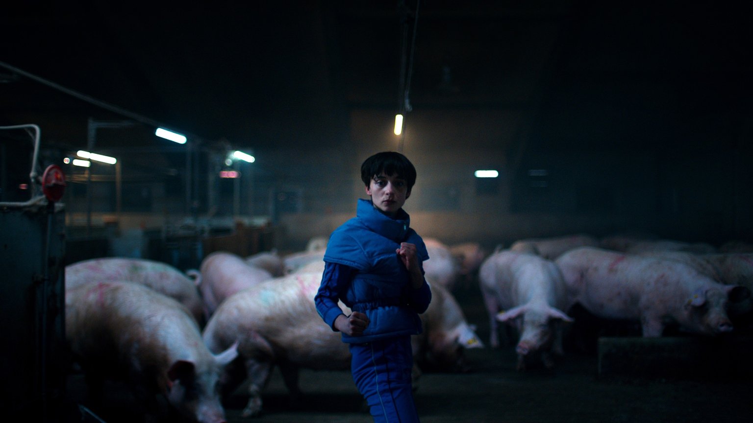 Nieuwe Deense misdaadserie over de onderwereld van Kopenhagen nu te zien op Netflix