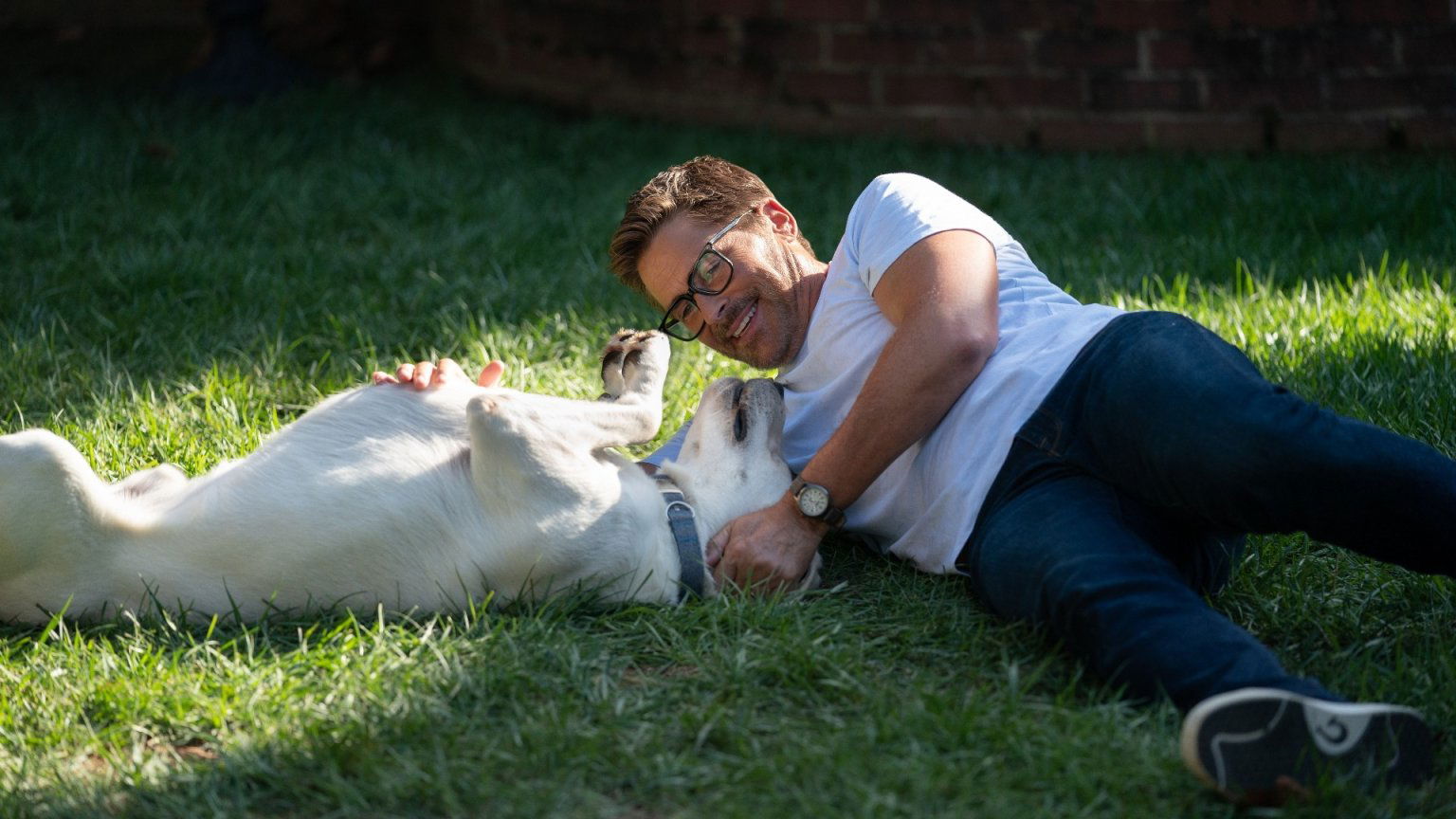 Waargebeurde hondenfilm met Rob Lowe nu te zien op Netflix