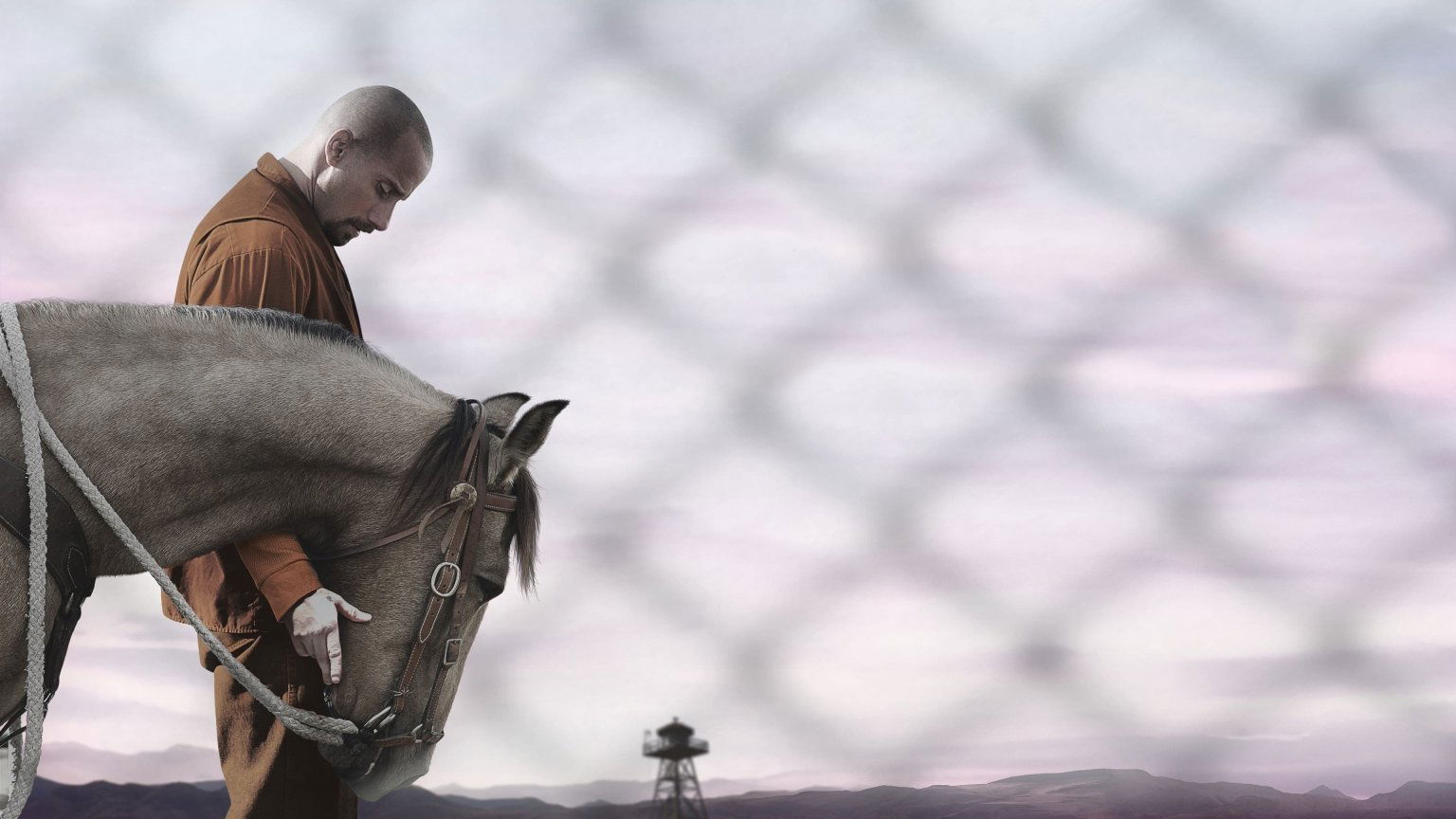 Prijswinnend drama schiet de top 10 hoog binnen op Netflix