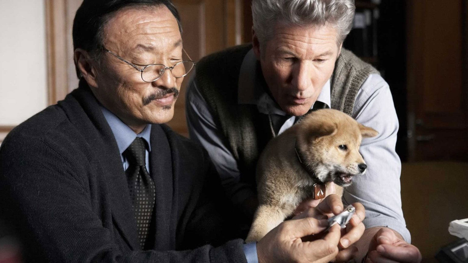 Emotionele familiefilm met Richard Gere blijft een aanrader op Netflix: 'Tranen gegarandeerd'