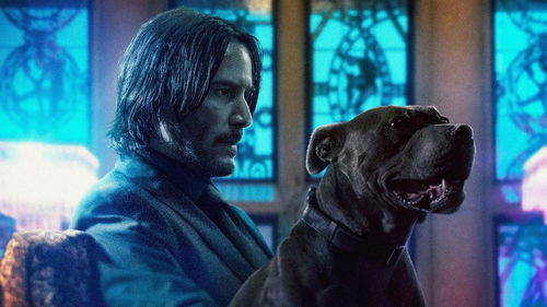 Keanu Reeves eert Lance Reddick tijdens 'John Wick 4'-première: 'Klote dat hij er niet meer is'