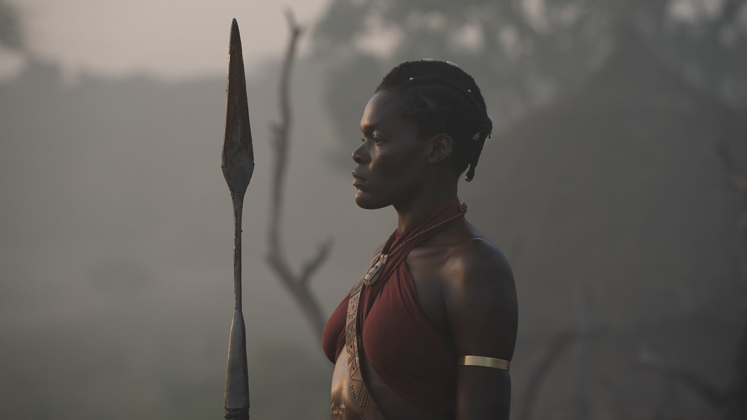 Historische bioscoopfilm 'The Woman King' komt binnenkort naar Netflix