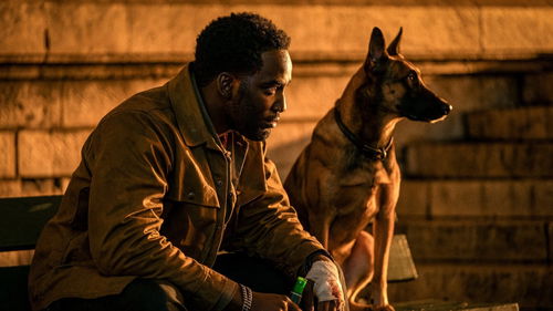 De top 10 populairste films nu in de bioscoop