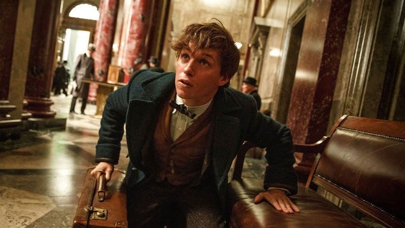 Still 'Fantastic Beasts and Where To Find Them' via TMDb