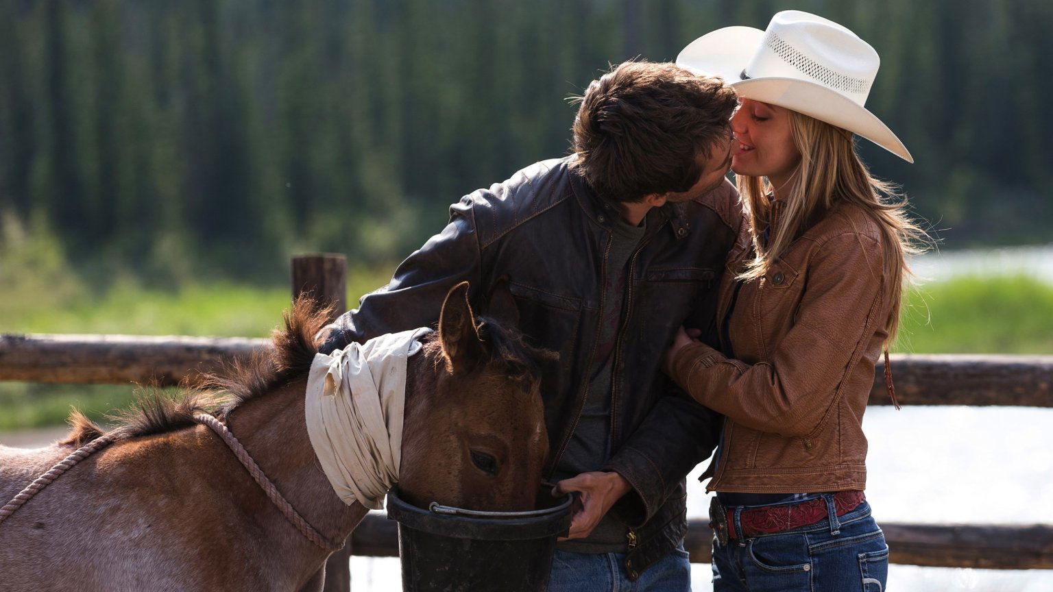 Seizoen 16 van veelgeprezen dramaserie 'Heartland' nu te zien