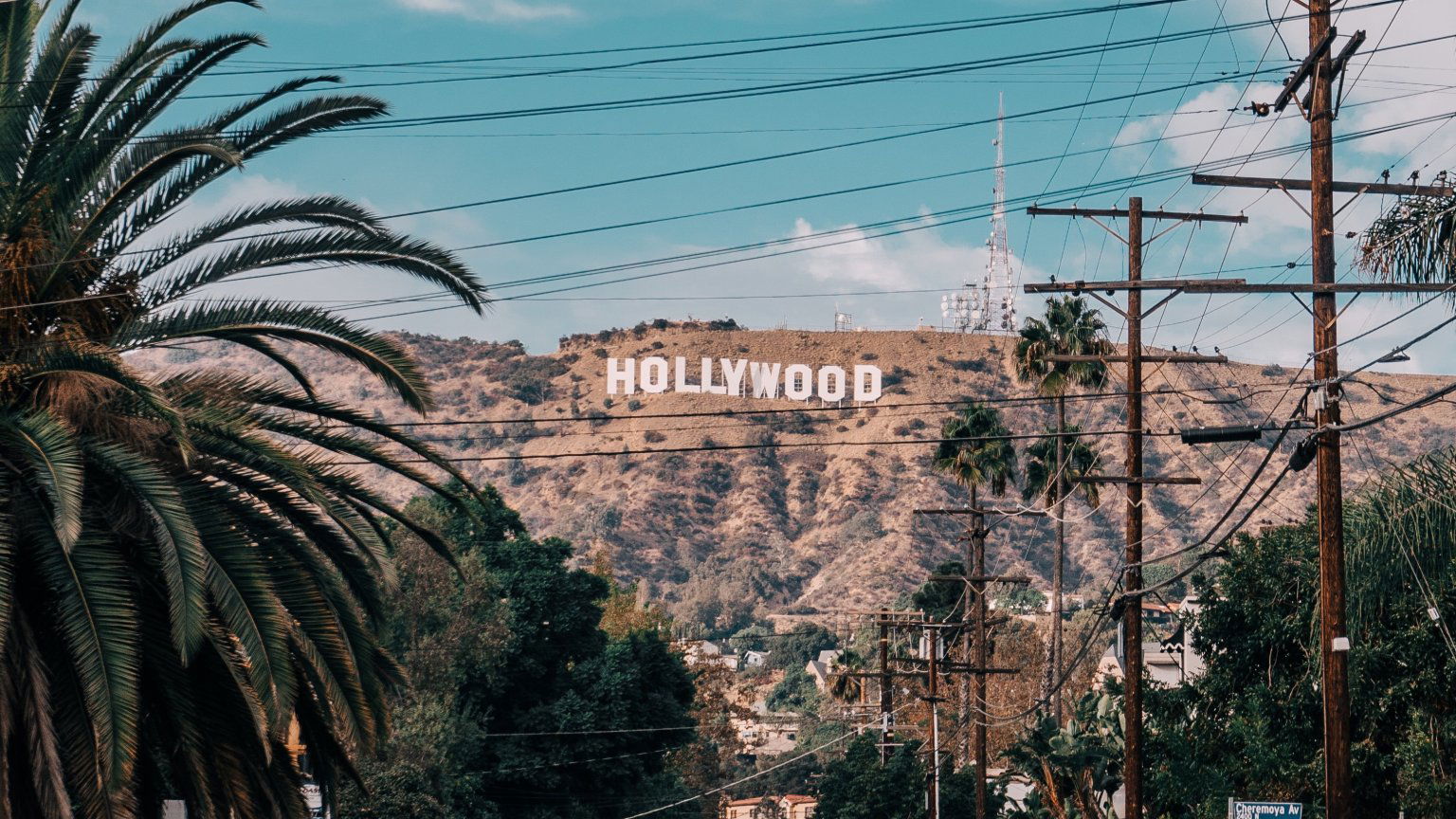 Deze twee acteurs hebben ieder 12 films met een perfecte score op Rotten Tomatoes