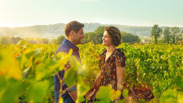 Recensie 'Zomer in Frankrijk'