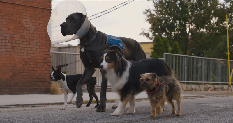 Still 'Doggy Style' via Filmdepot/Universal