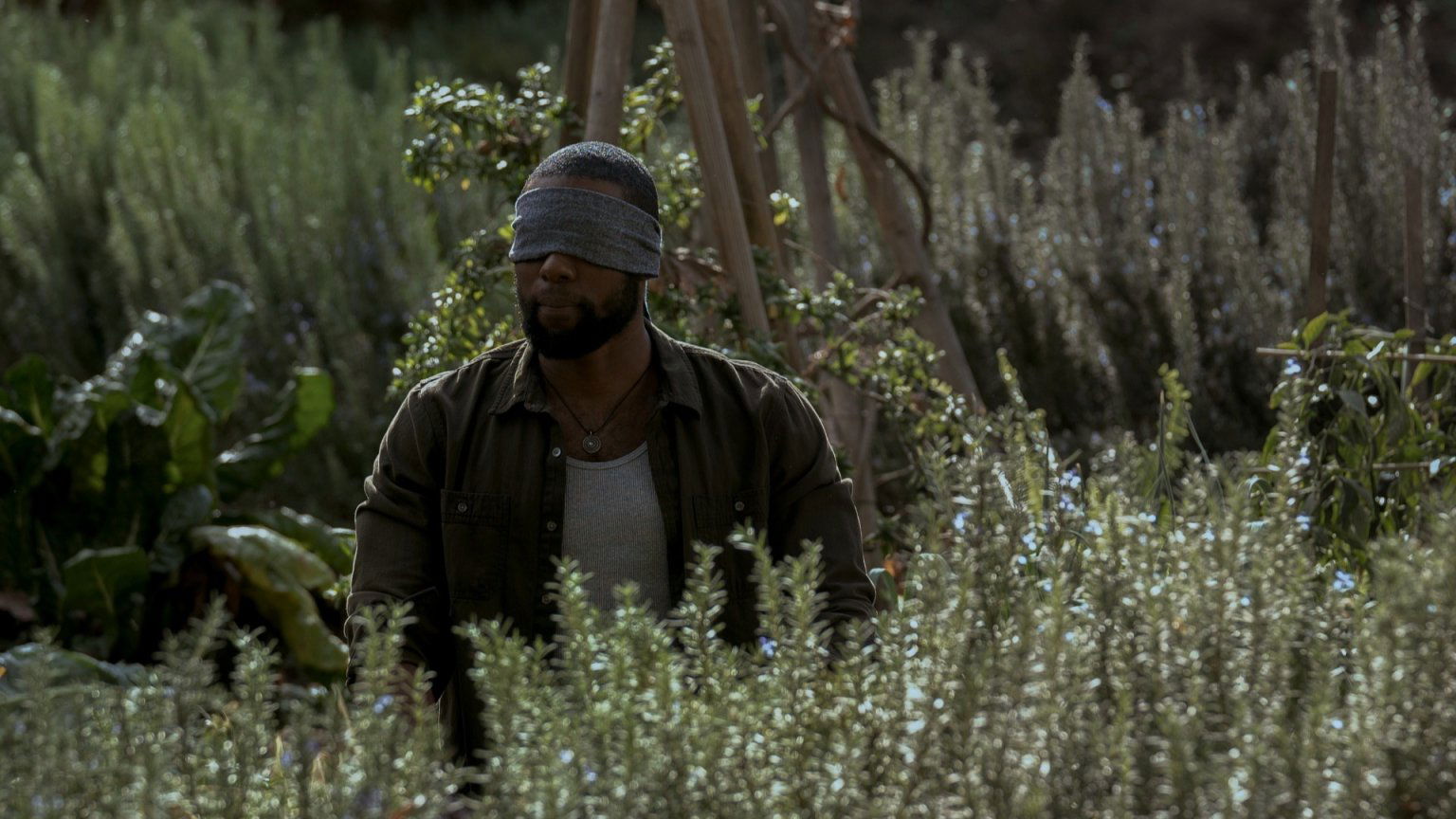 Netflix komt met Spaanse versie van 'Bird Box', eerste beelden en releasedatum onthuld