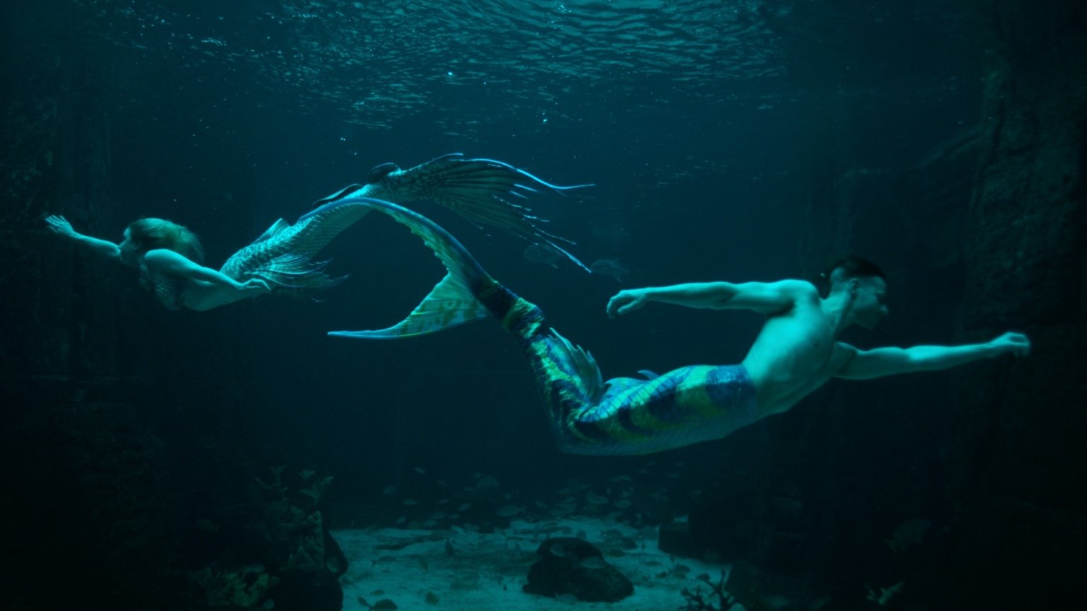 Netflix-abonnees aan de buis gekluisterd door nieuwe 'fascinerende' docuserie