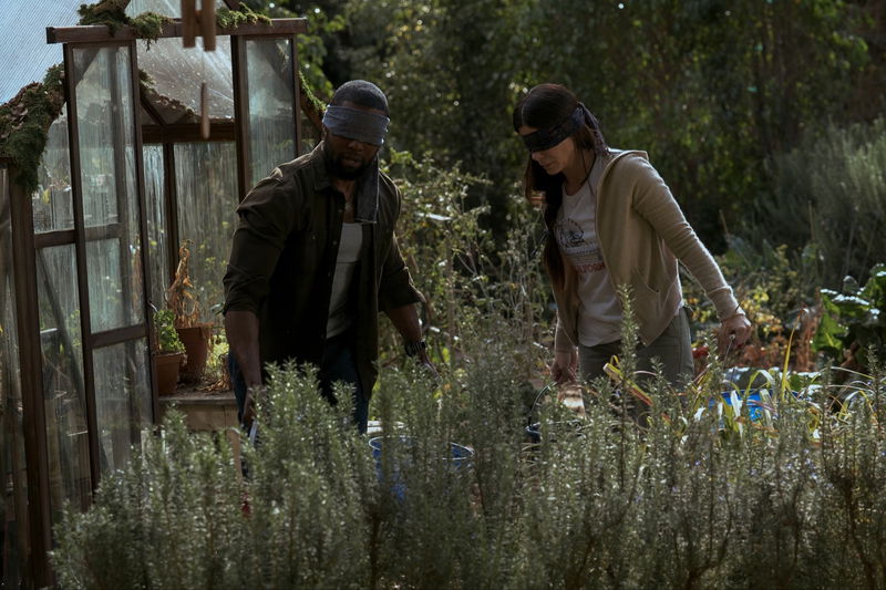Still 'Bird Box' via Netflix/Saeed Adyani